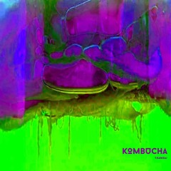 T.Kanizaj - 'Kombucha' [Original Mix]