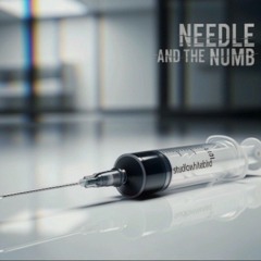 Needle and the Numb