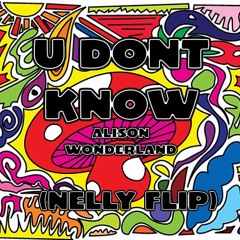 Alison Wonderland - U Dont Know - stencil flip