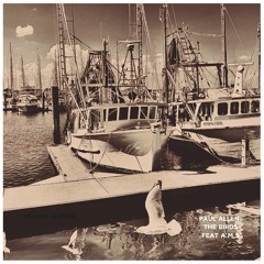 Paul Allen - The Birds (Feat A.M.S)