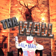 🧱 tha Wall ٩(๑ `н´๑)۶ ##ʀᴛʀ1
