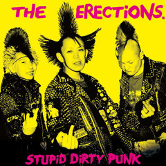 Stupid Punk