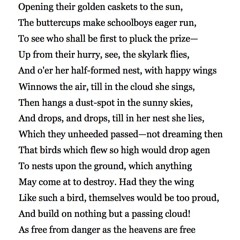 447 The Skylark by John Clare