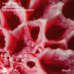 1-800 Girls with Council - 02 December 2025