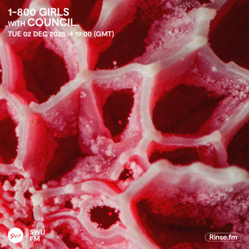 1-800 Girls with Council - 02 December 2025