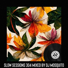 Slow Sessions 304 Mixed By Dj Mosquito (ZA)