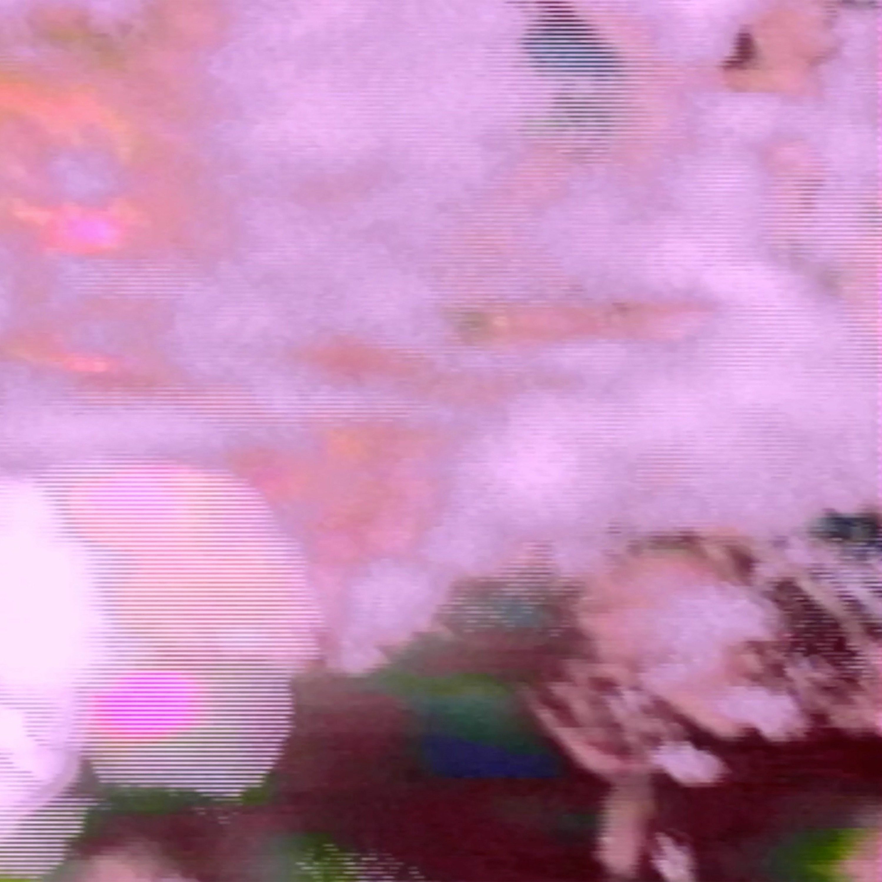Jason Sharp • "Gates Of Heaven" episode artwork