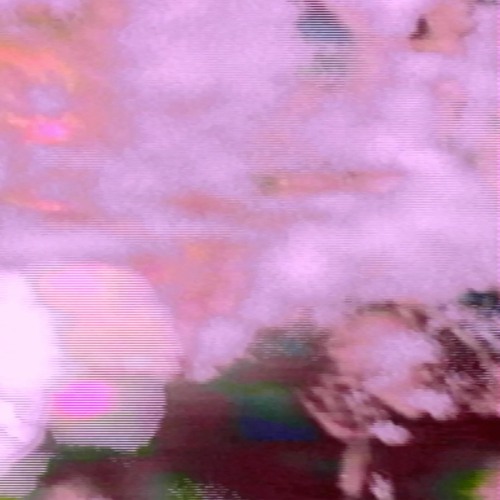 Jason Sharp • "Gates Of Heaven"