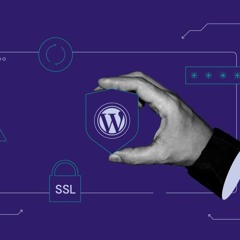 How to Ensure Your WordPress Plugins Stay Compatible and Effective?
