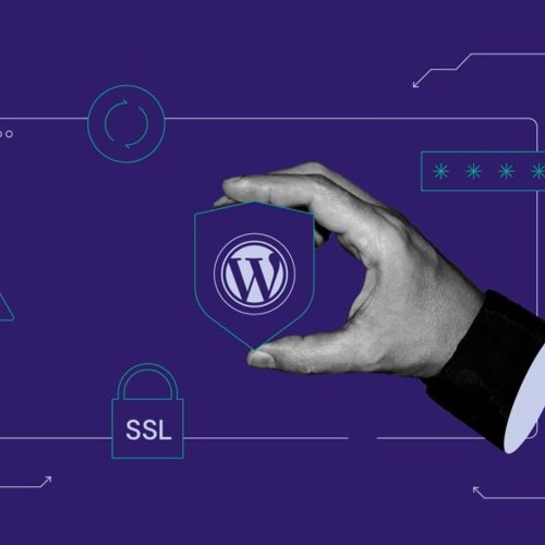 How to Ensure Your WordPress Plugins Stay Compatible and Effective?