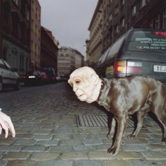 М.Д.М