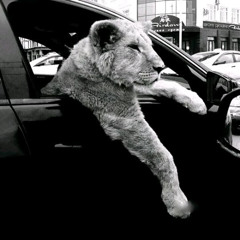 FREESTYLE 7 (be careful)