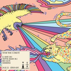 MEO CULPA's playlist | Totem Tribe x Zengető | 2024
