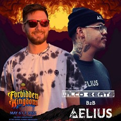 Aelius B2B Wilco Beats Forbidden Kingdom 2022 Set