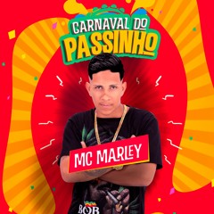 01 - MC MARLEY - PARECIA TEMPESTADE - CARNAVAL DO PASSINHO 2023