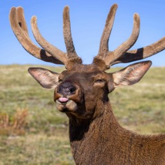 ZJEB 06.09.2023 Master 01 - 001