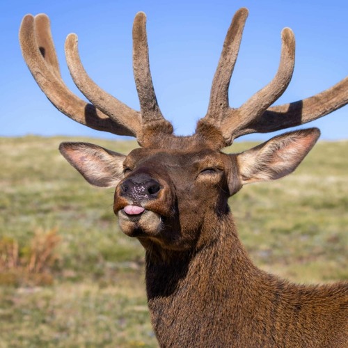 ZJEB 06.09.2023 Master 01 - 001