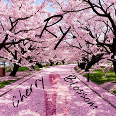 Cherry Blossom