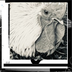 Philip cometh and telleth Andrew: and again Andrew and Philip tell Jesus.