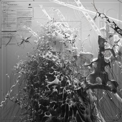 SWARMM - Death Of A Generation / Birth Of Reform
