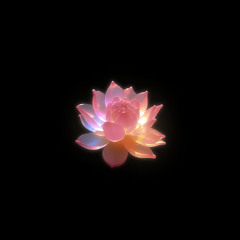 FREE DL: Rizzo (Col) - Healing (Original Mix)