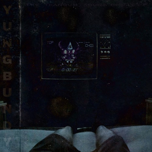 THE TRANQUIL SOUND OF SLEEP (Prod. H E A L)