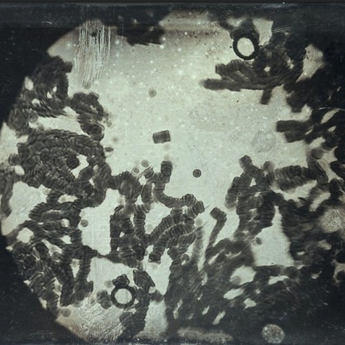 Raingurl Dub [ Psychic Edit ]