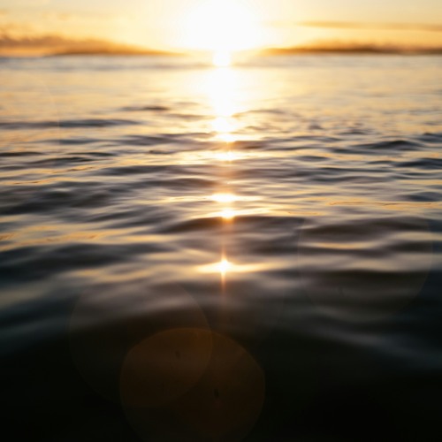 Sunlight on The Water