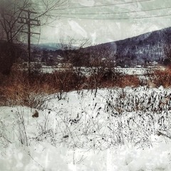 Hung Like Echoes in Frozen Trees