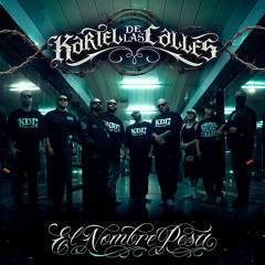 Manejando Marihuanos