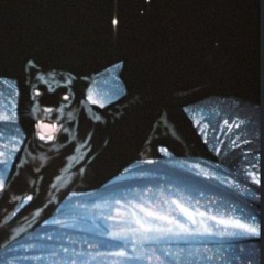 004- LIE2ME FREESTYLE