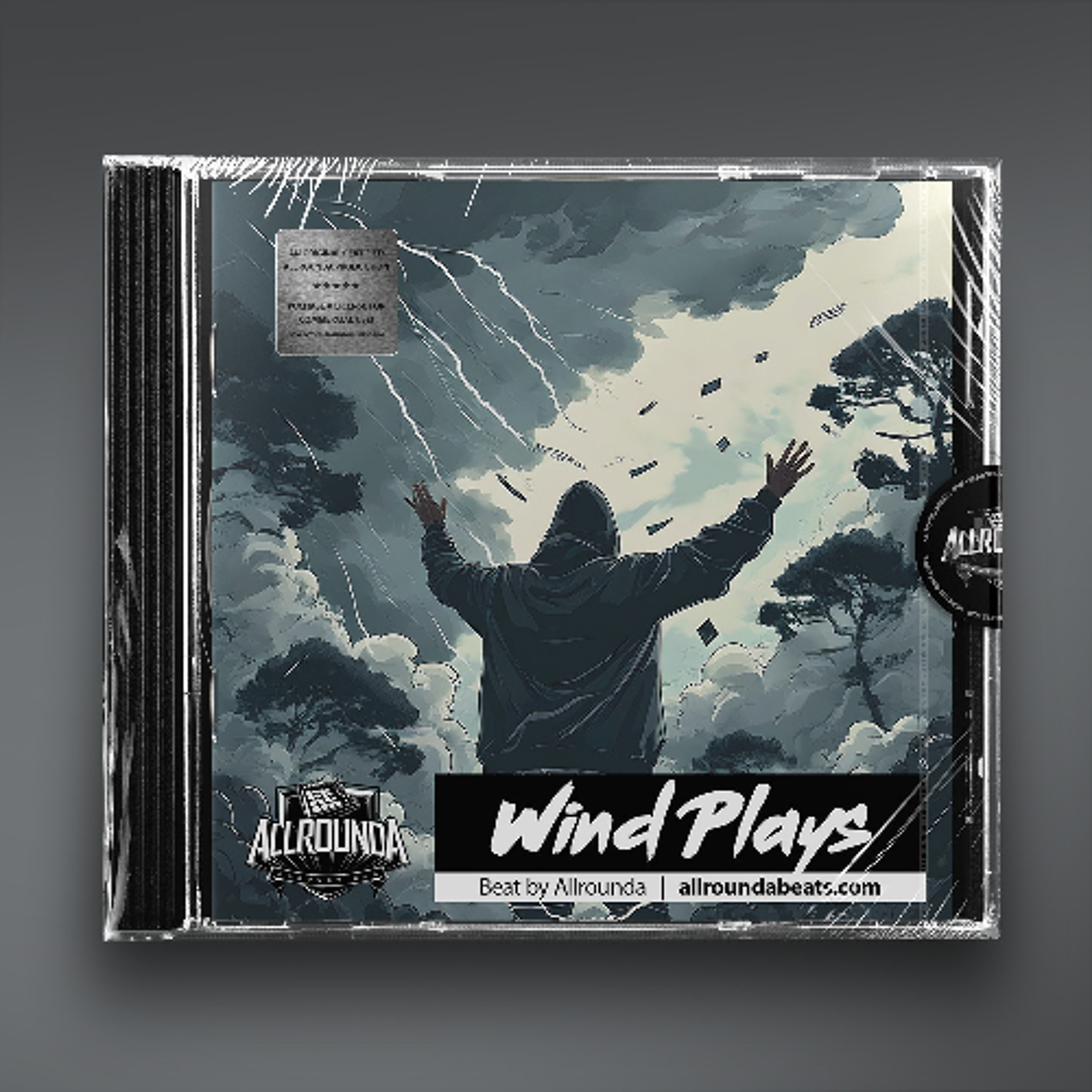 "Wind Plays" - Epic Orchestral Rap Beat | NF Type Beat episode artwork