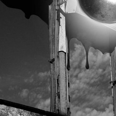 За влечугите и птиците