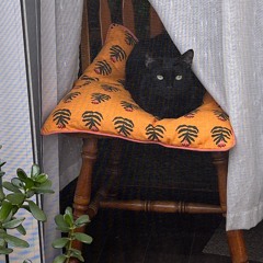 I am here for a lil while.