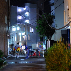 N型hoshino - ずきずき（prod. Chang diz）