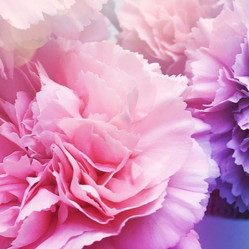 String Theory (Valentines Day Mix 6.0)