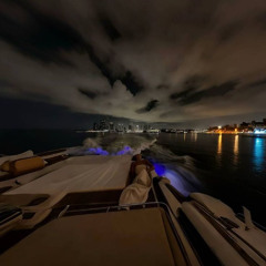 I Am A Wellerman (Guitar Version)