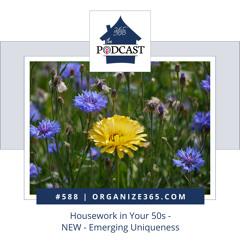 588 - Housework In Your 50s - NEW - Emerging Uniqueness
