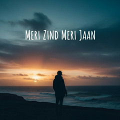 Meri Zind Meri Jaan