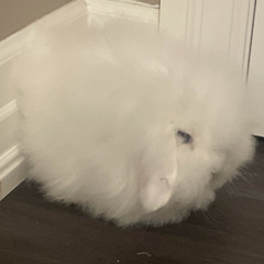 Mars Argo - You Gave Away