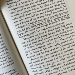 barely alive (sebakyu)