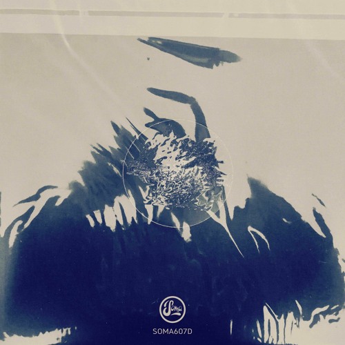 Lost In Ether | P R E M I E R E | Temudo - Look Down Say Nothing [SOMA]