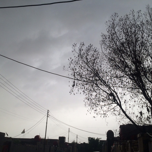 الضحكة مِن تشوفة صِدفة•• محمد خضر