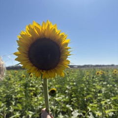 ★all of this★ (prod. king theta)