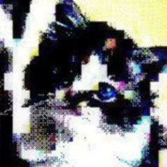 gatapitch1