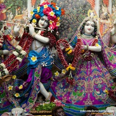 HH_BB_Govinda_Swami_Final_Kirtan___Day_3___Kirtan_Rasa_Dubai_2022(128k).m4a
