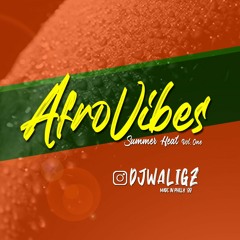 DJ Wali Gz :: AfroVibes Summer Heat