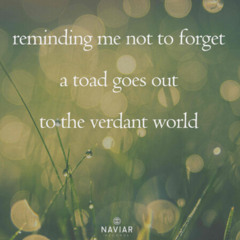 Elixir of Memory Toad - naviarhaiku615
