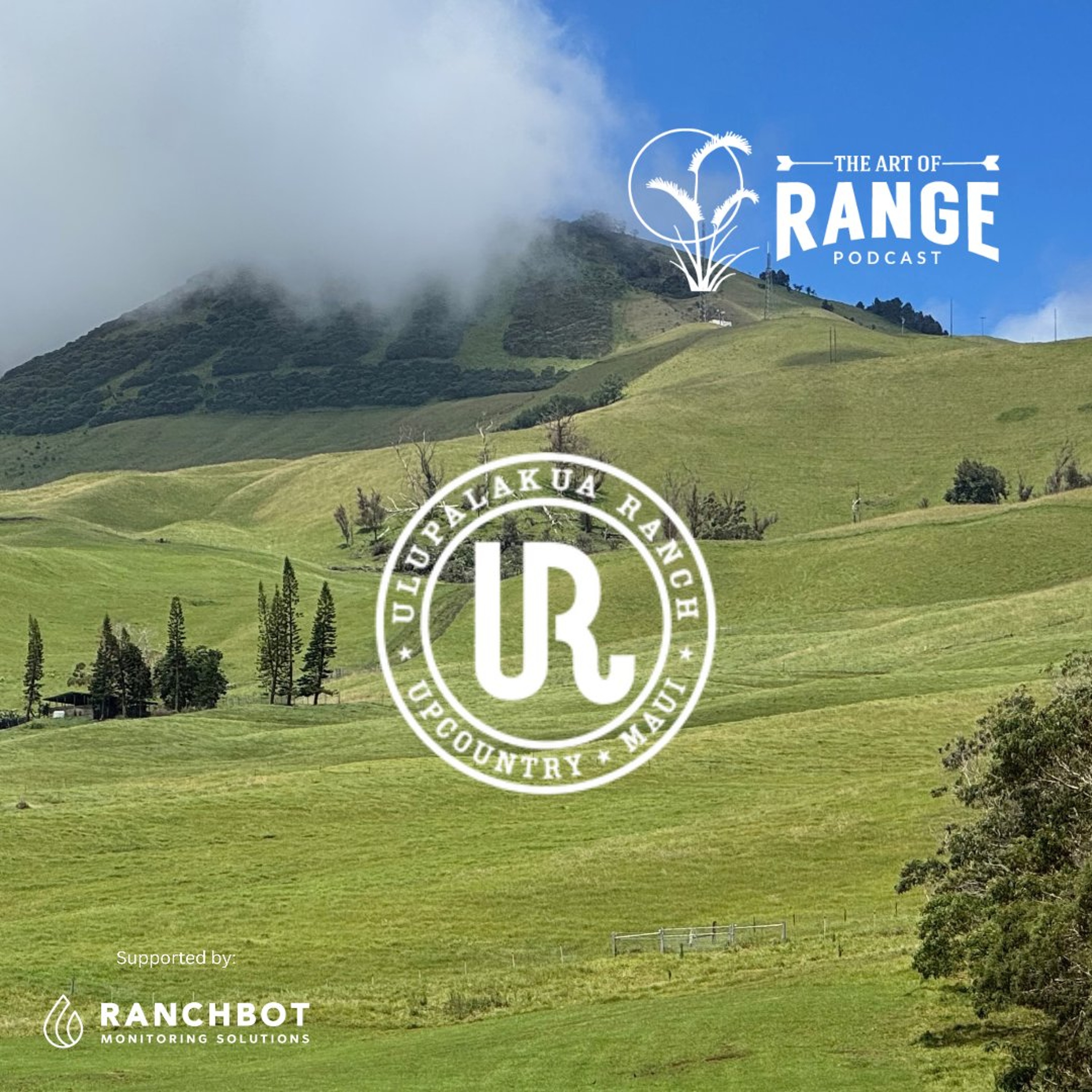 AoR 191: Sumner Erdman - Cows, Koas, and Wind Turbines on Maui's Ulupalakua Ranch