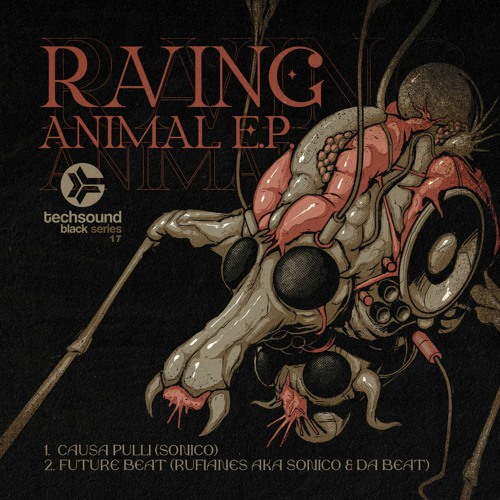Causa Pulli (Sonico) LFQ, Out now on Techsound Black 17: Raving Animal !